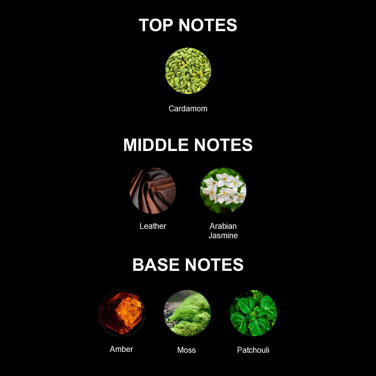 Shoreditch Notorious